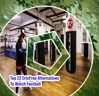 Cricfree boxing
