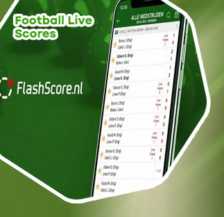 Flashscore mobile soccer live score flash result